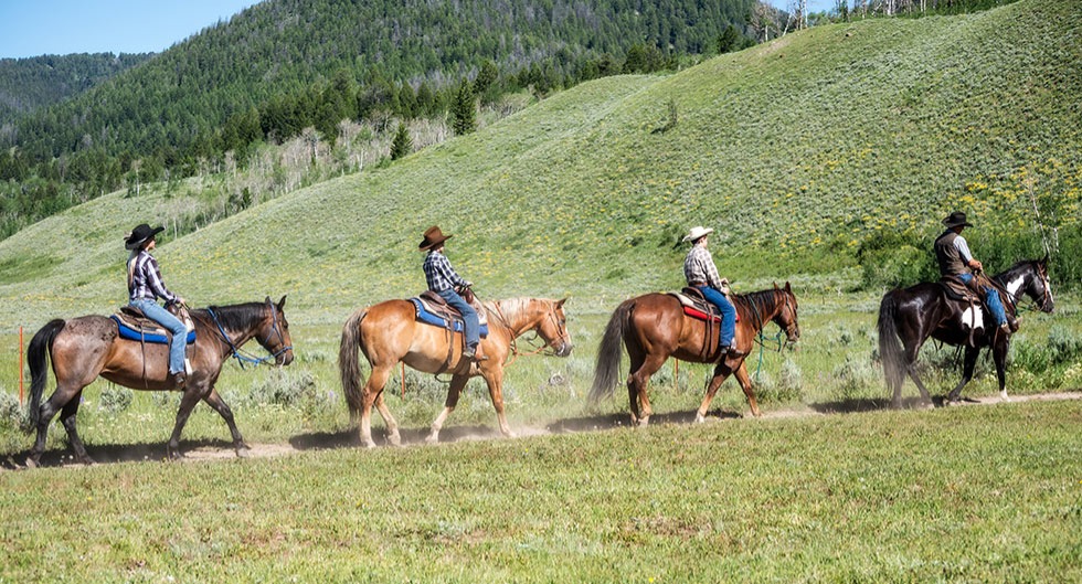 Horseback Riding